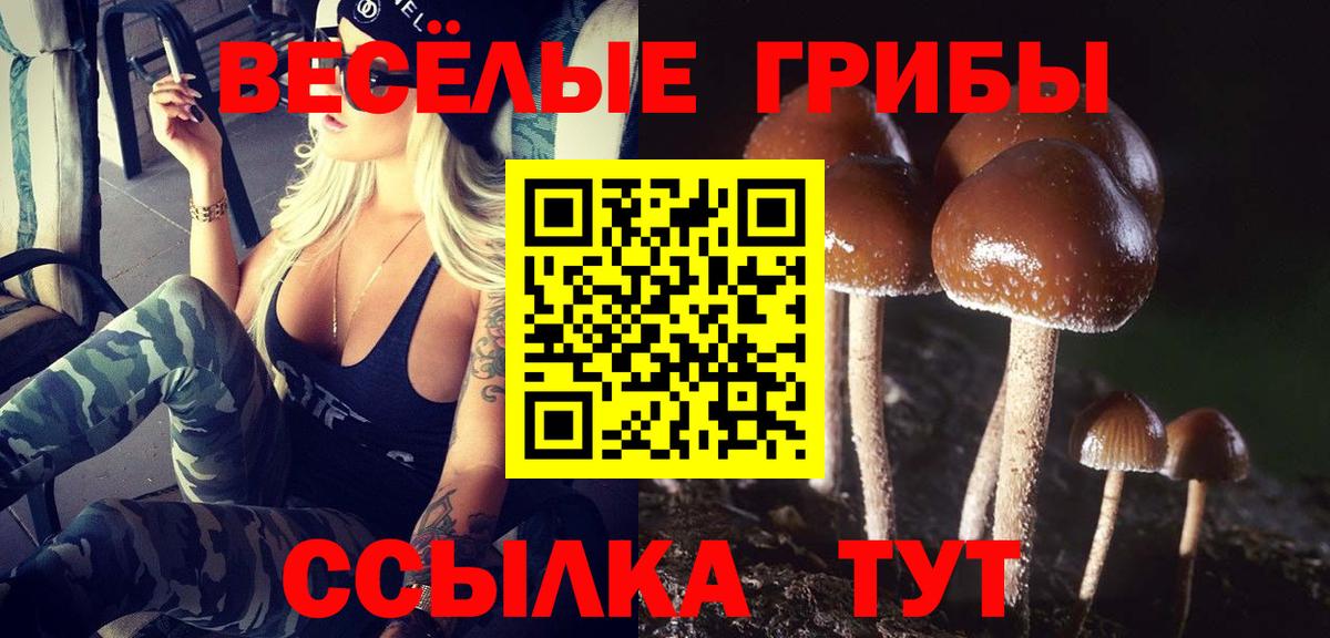 Минеральные Воды  Псилоцибиновые грибы Psilocybe  Вход с VPN  Галлюциногенные грибы мухоморы 